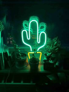 kaktus neon na zamówienie